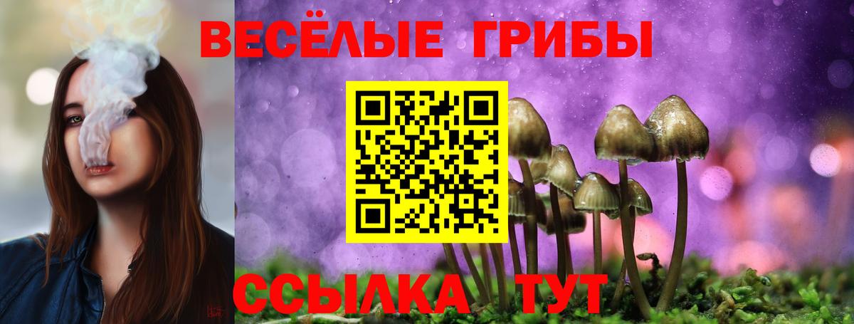 Егорьевск  Галлюциногенные грибы мухоморы  Вход с VPN  Галлюциногенные грибы GOLDEN TEACHER 